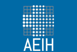Acta de elecciones de la Junta Directiva de la AEIH